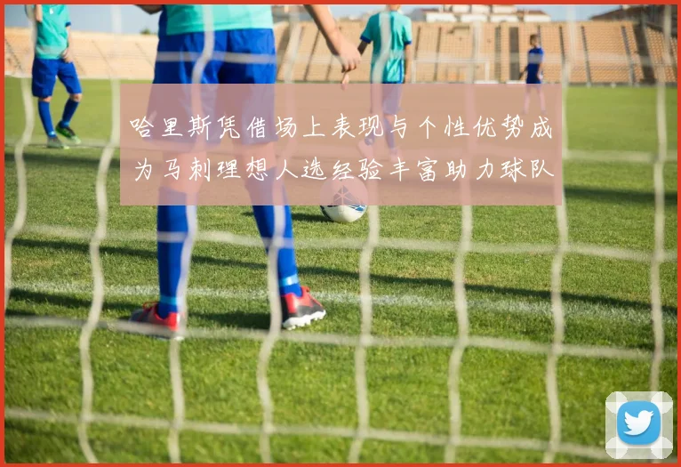 哈里斯凭借场上表现与个性优势成为马刺理想人选经验丰富助力球队发展