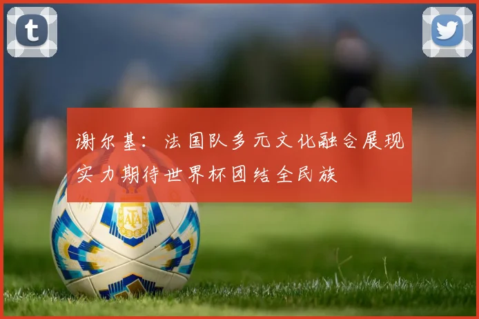谢尔基：法国队多元文化融合展现实力期待世界杯团结全民族